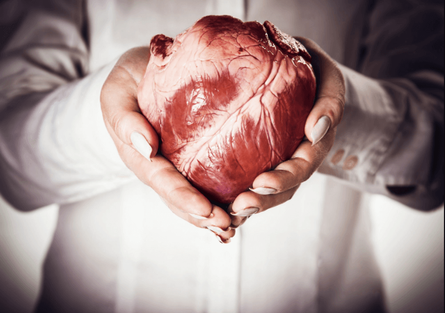 The Truth About Heart Transplant Life Expectancy