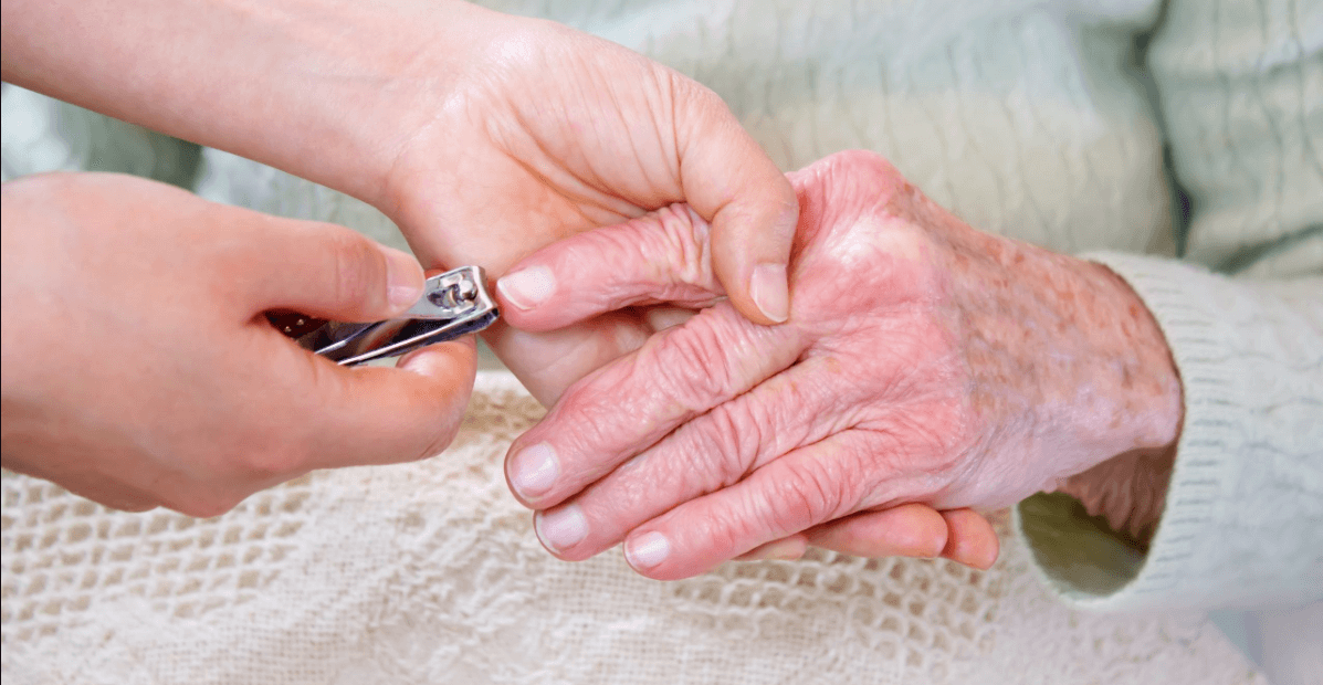 The Best Toenail Clippers for Seniors That Are Easy to Use and Safe