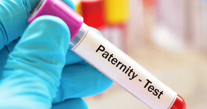 paternity testing