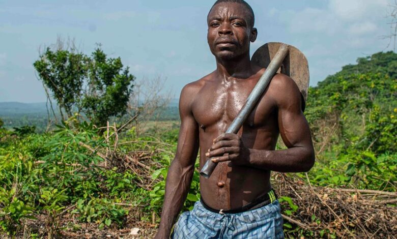 digital growth enhancement tools