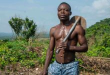 digital growth enhancement tools