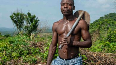 enhance your digital growth