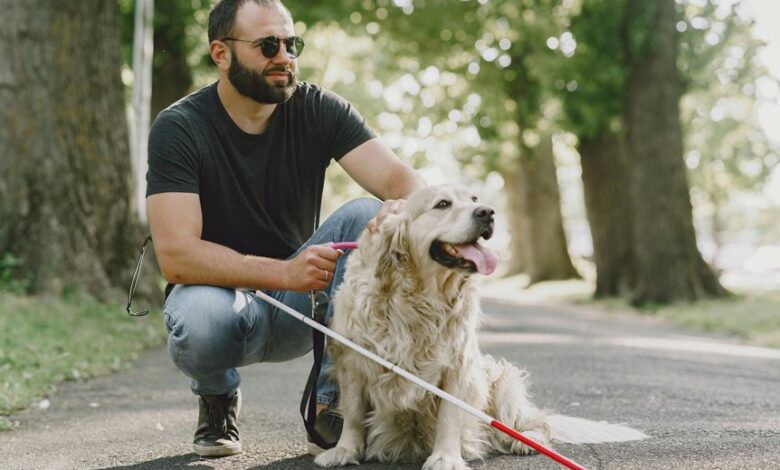 digital service contact guide