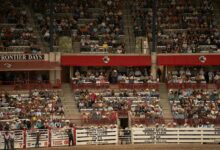 global creative initiatives launch