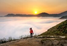 innovative visionary moves ahead