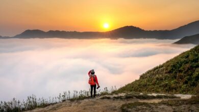 innovative visionary moves ahead