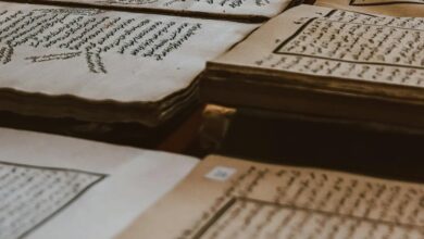 cultural keyword research portal