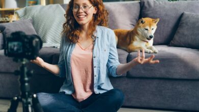 dog advice blog lovelolablog