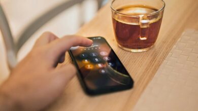 fraud hotline numbers compilation