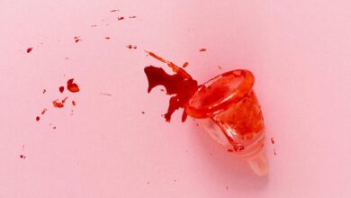 menstruation cycle related searches portal