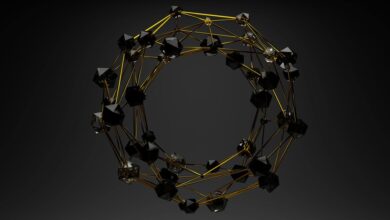 personal identity discovery node