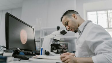 personal name research portal description