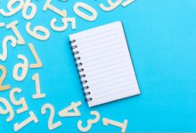 inspect specific number lookup records