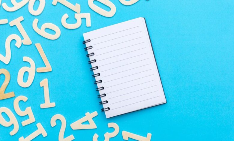 inspect specific number lookup records
