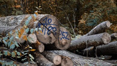 inspect specific registry numbers logs