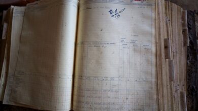investigate specific number registry records