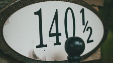 number registry lookup for five ids