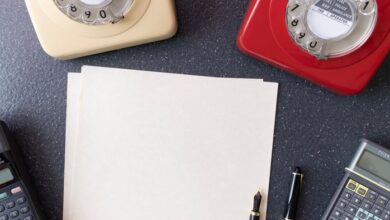 phone number registry findings across five entries