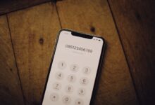 public number references five ids listed
