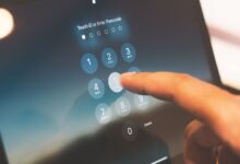 public numbers registry access