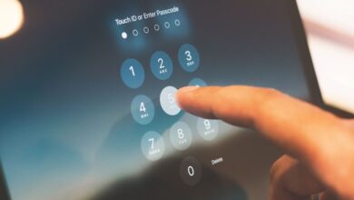 public numbers registry access