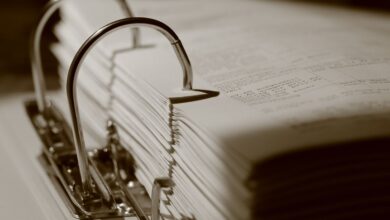 public registry report ids overview