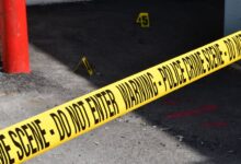 registry entries investigation numbers 3512484598 3348521470 3385493238 3481616595 3887838937