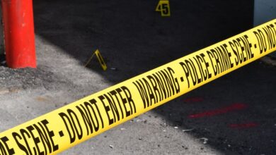 registry entries investigation numbers 3512484598 3348521470 3385493238 3481616595 3887838937