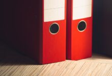 registry files ids listed for review