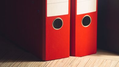 registry files ids listed for review