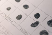 registry records for listed numbers search results