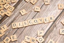 registry search findings for the four numbers