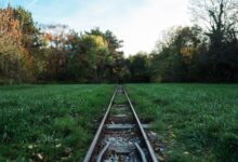 track registry lookups by ids