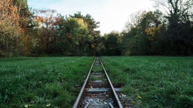 track registry lookups by ids