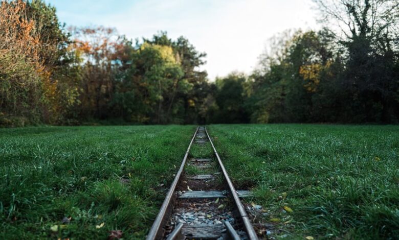 track registry lookups by ids