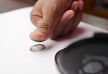 verification numbers reveal discrepancies across ids