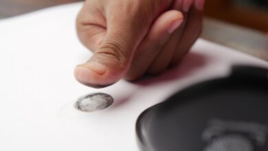 verification numbers reveal discrepancies across ids